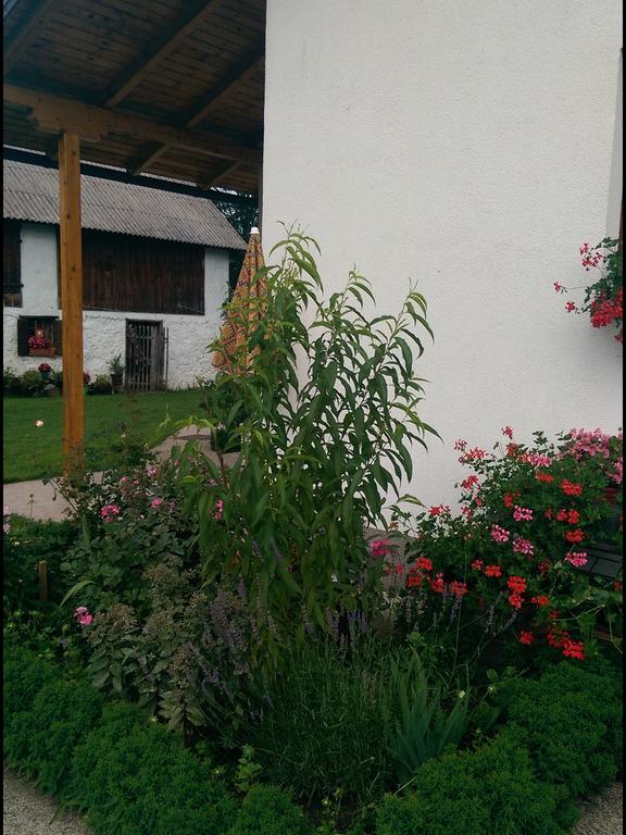 דירות Donji Babin Potok House Nada מראה חיצוני תמונה