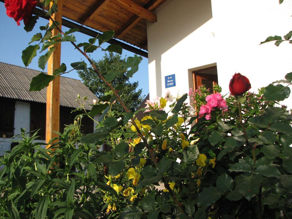 דירות Donji Babin Potok House Nada מראה חיצוני תמונה