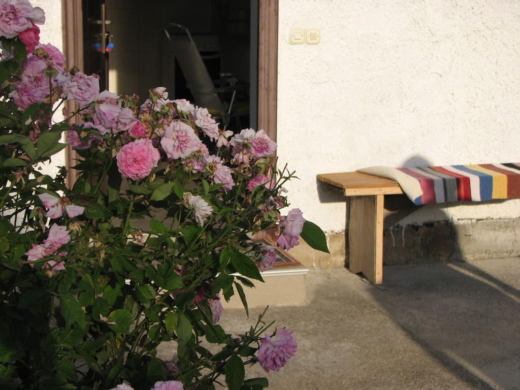 דירות Donji Babin Potok House Nada מראה חיצוני תמונה
