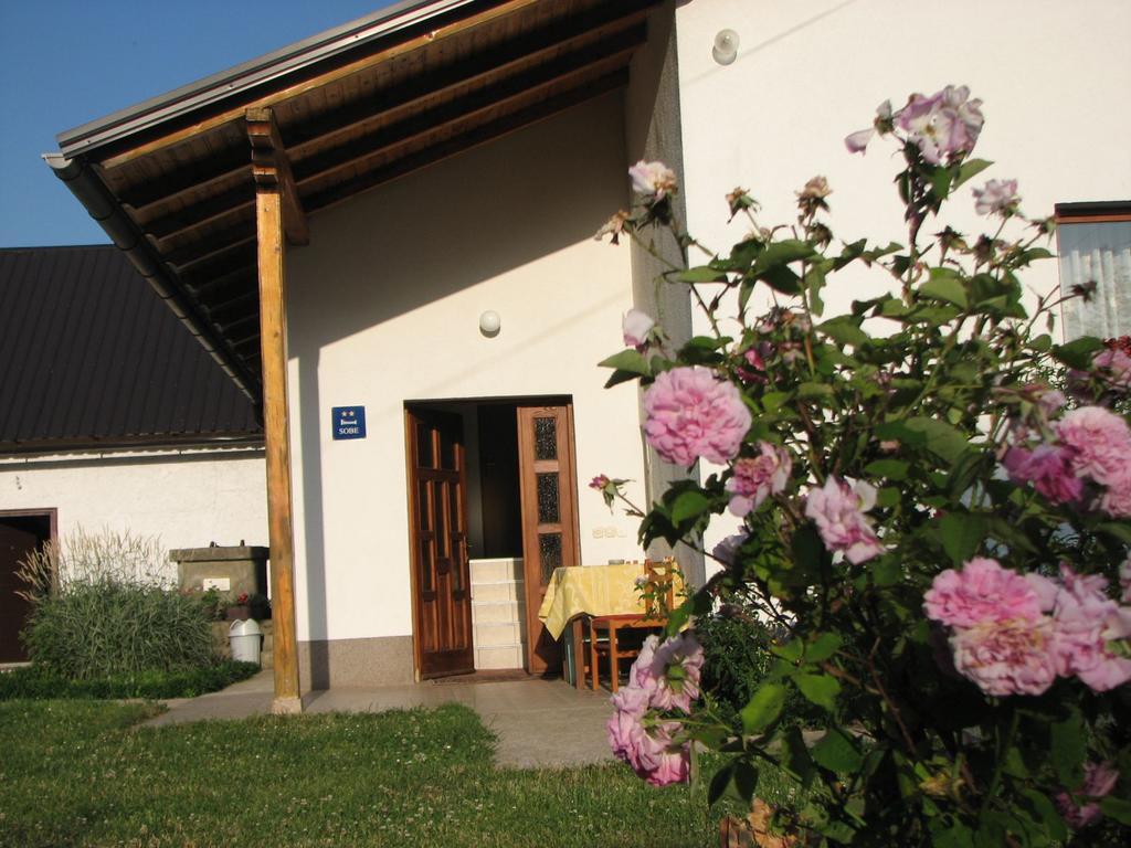 דירות Donji Babin Potok House Nada מראה חיצוני תמונה